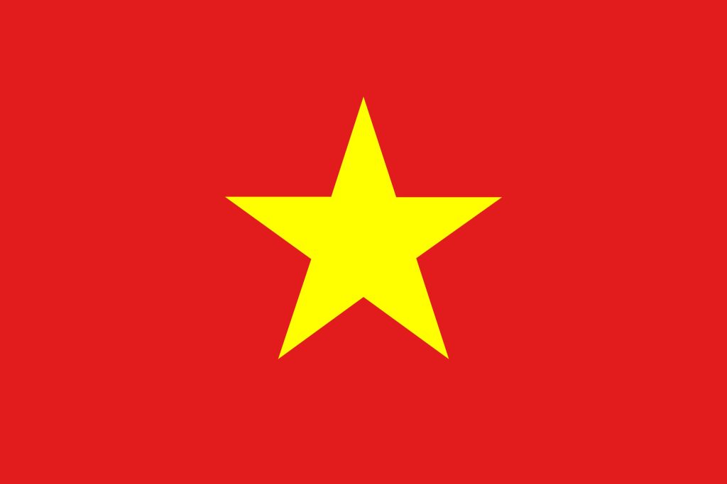 Vietnamese Translation Service
