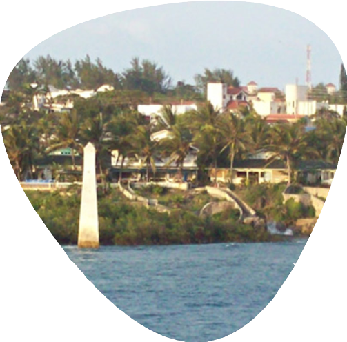 Swahili interpreters